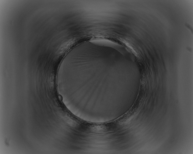 X0000093130402200710171312