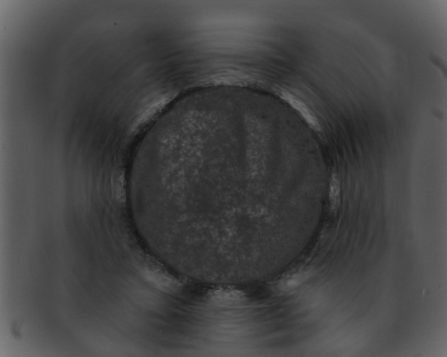 X0000093130403200710171312