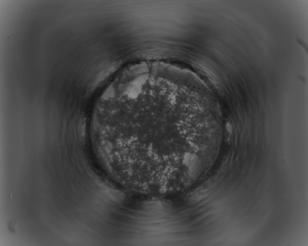 X0000093130404200710171312