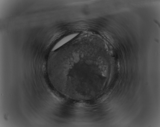 X0000093130408200710171312