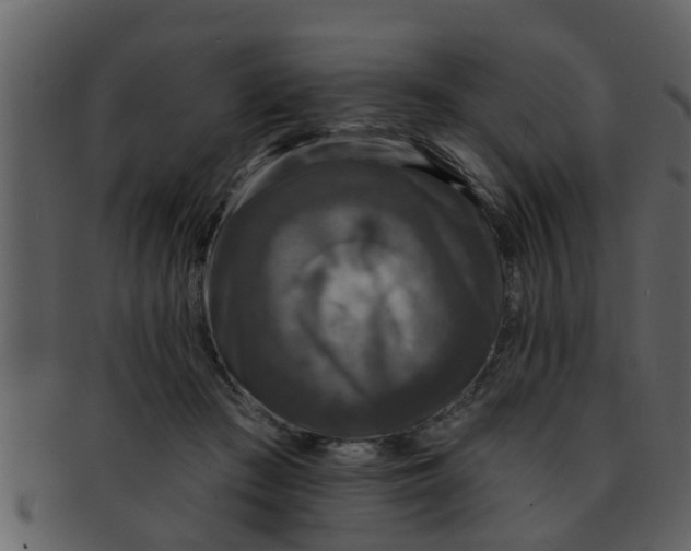 X0000093130409200710171312