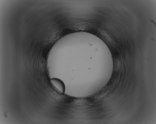 X0000093130414200710171312