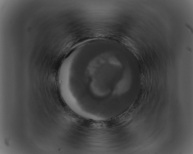 X0000093130415200710171312