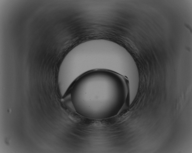 X0000093130416200710171312