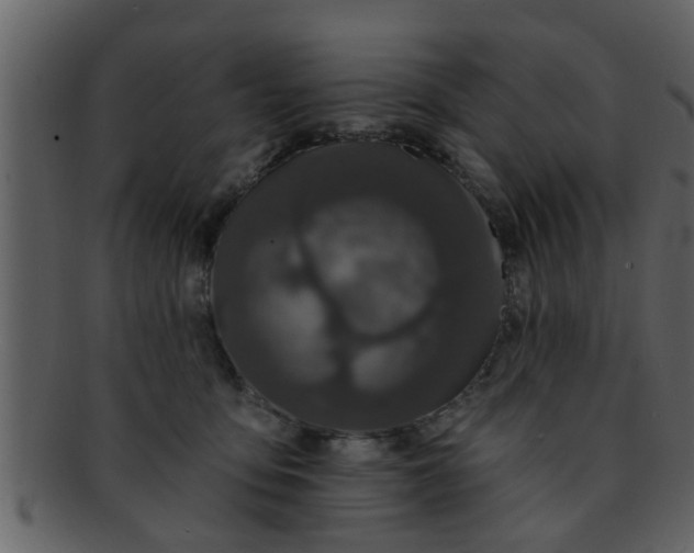 X0000093130419200710171311