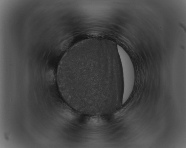 X0000093130420200710171311