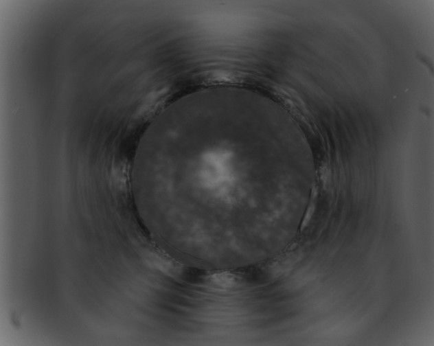 X0000093130423200710171311