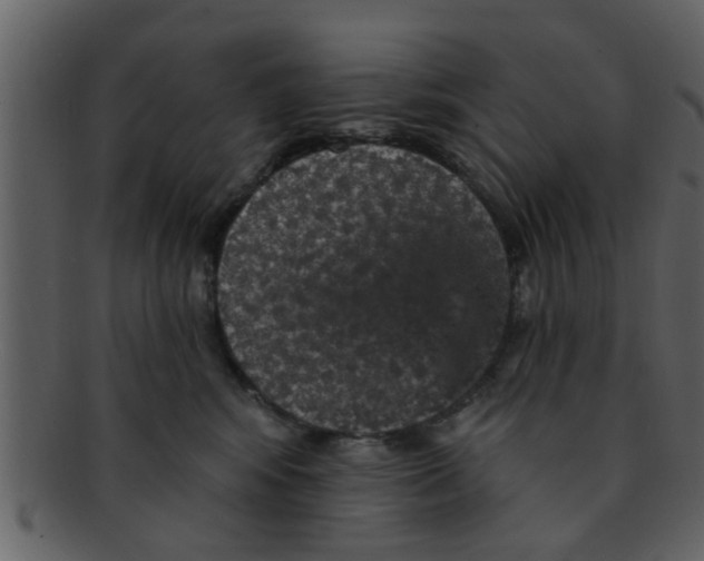 X0000093130424200710171311