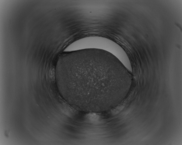 X0000093130425200710171311