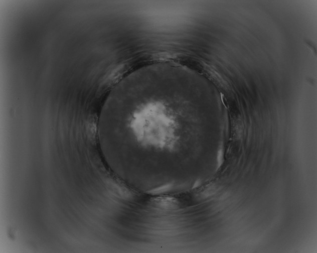 X0000093130427200710171311