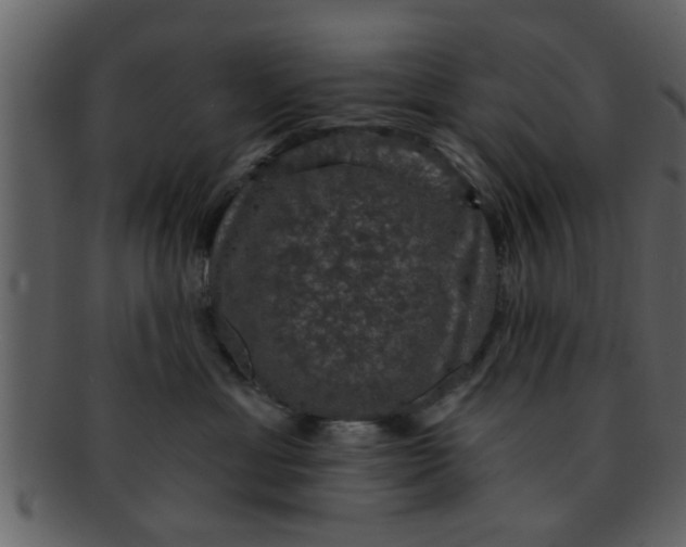 X0000093130429200710171311