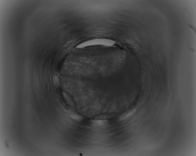 X0000093130432200710171311