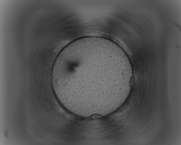 X0000093130433200710171310