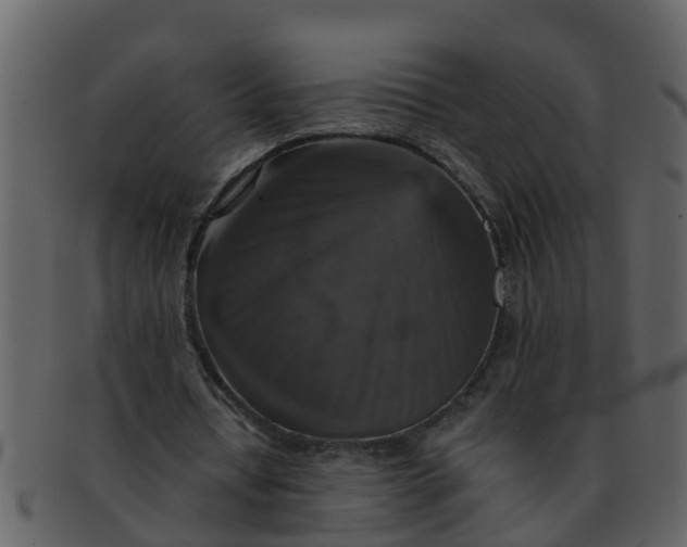 X0000093130434200710171310