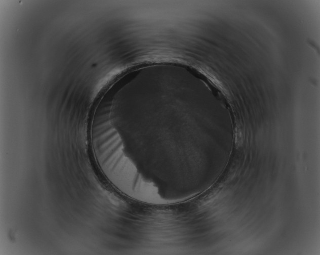 X0000093130438200710171311