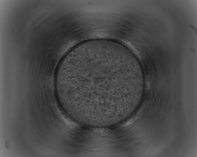 X0000093130439200710171311