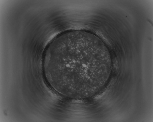 X0000093130440200710171311