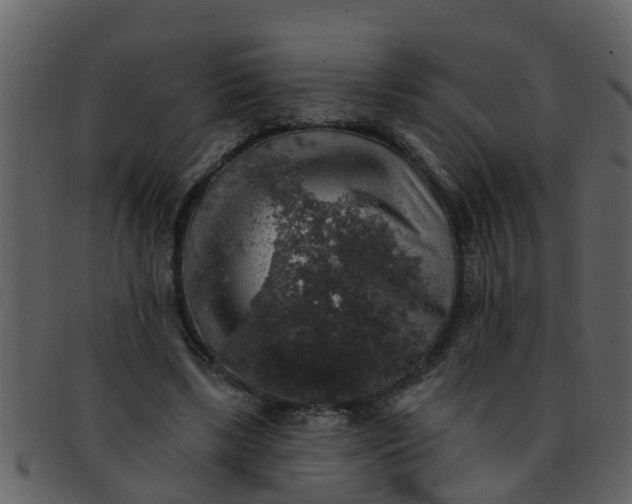 X0000093130443200710171311