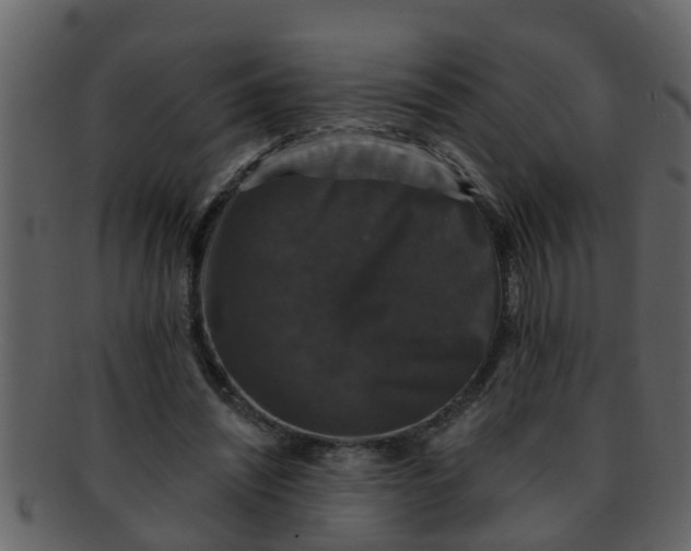 X0000093130444200710171311