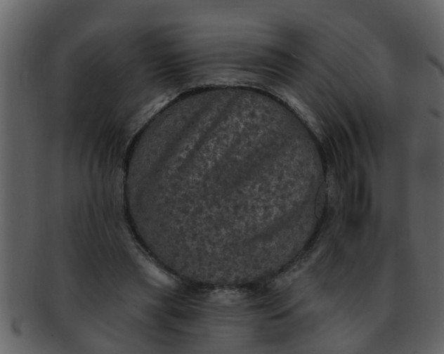 X0000093130445200710171311