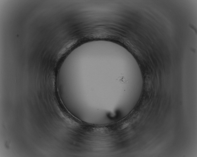 X0000093130446200710171311