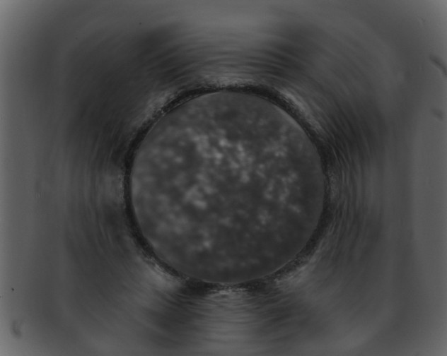 X0000093130447200710171311