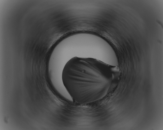 X0000093130448200710171311