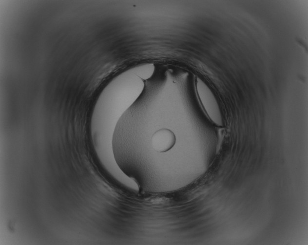 X0000093130452200710171311