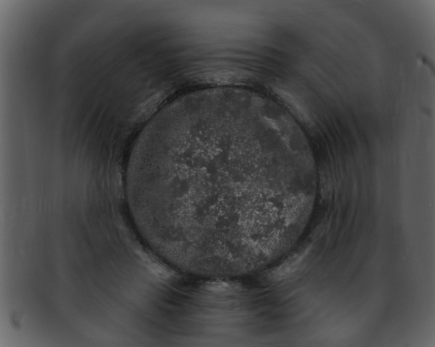 X0000093130453200710171311