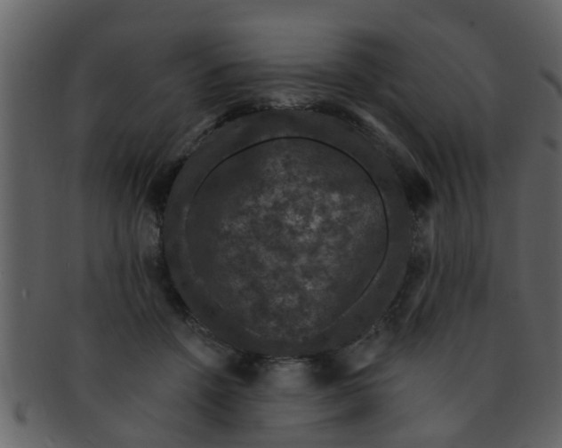 X0000093130456200710171311