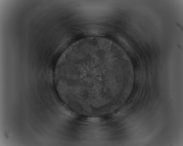 X0000093130457200710171311