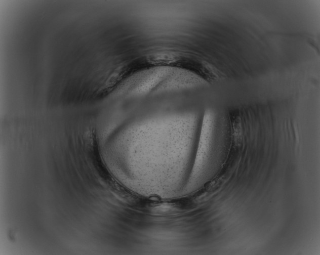 X0000093130460200710171311