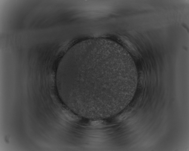 X0000093130461200710171311