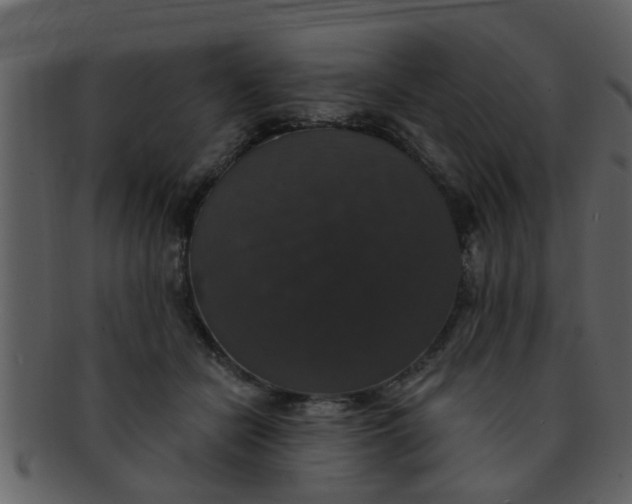 X0000093130462200710171311