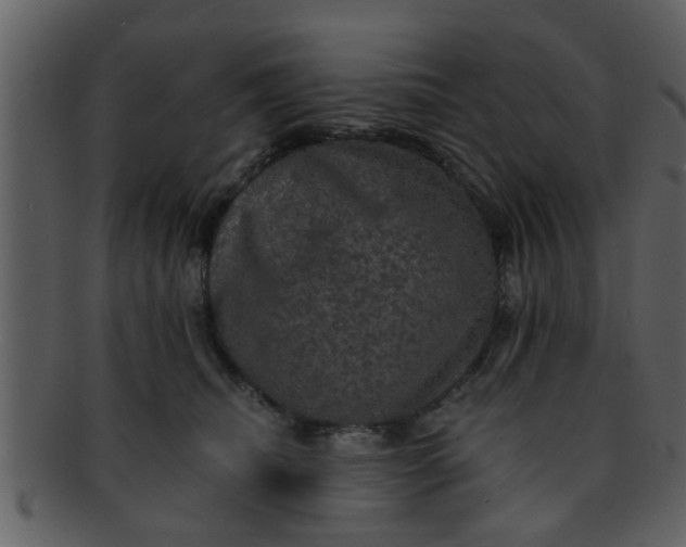 X0000093130468200710171311