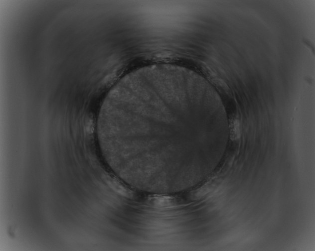 X0000093130472200710171311