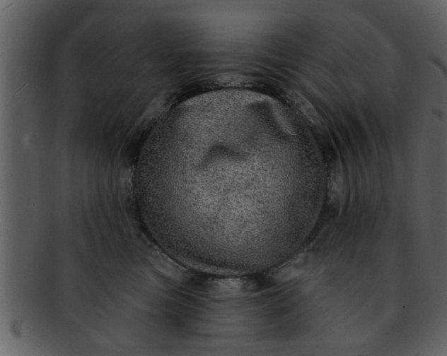 X0000093130473200710171311