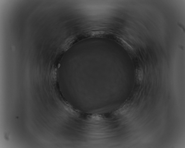 X0000093130475200710171311