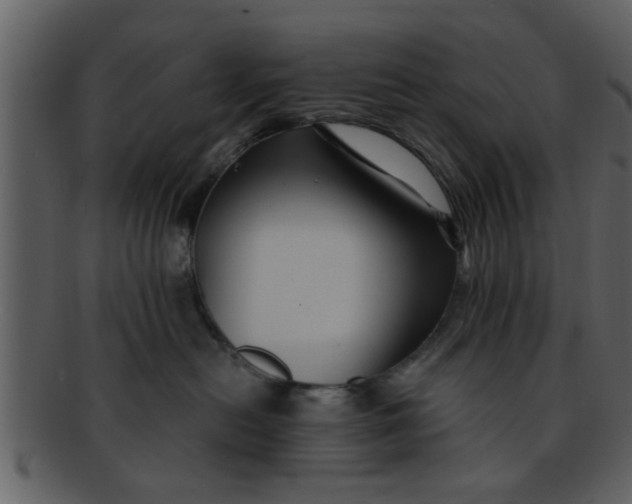 X0000093130478200710171311