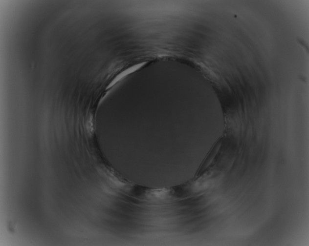 X0000093130479200710171311