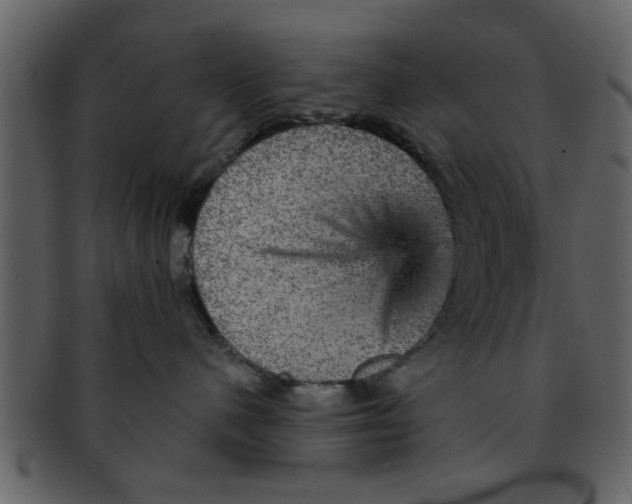 X0000093130480200710171311