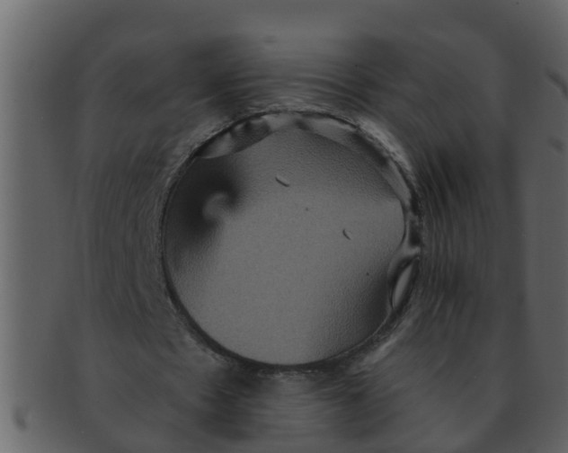 X0000093130481200710171310