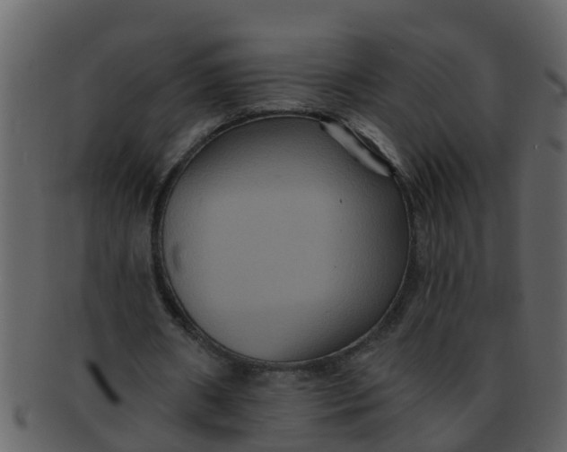 X0000093130482200710171310