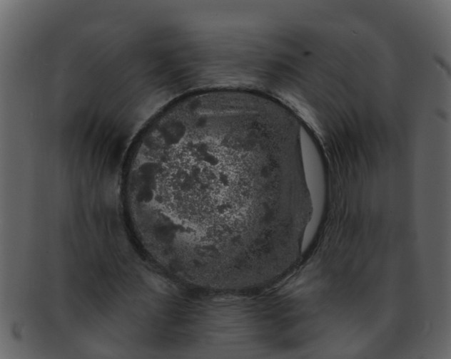 X0000093130483200710171310