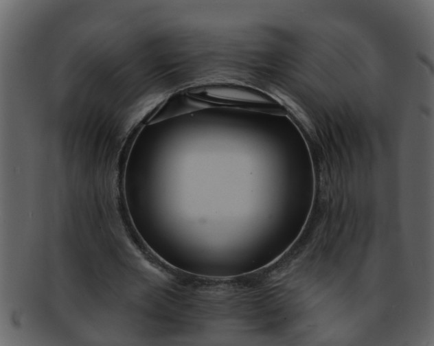 X0000093130485200710171310