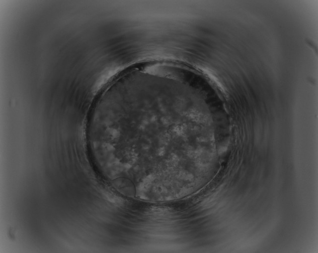 X0000093130487200710171310