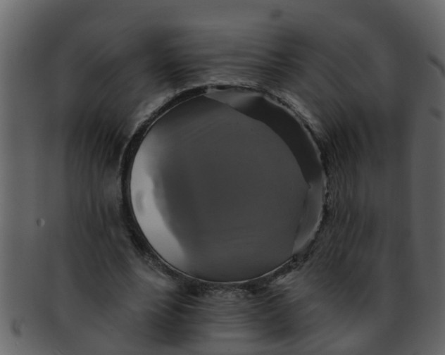 X0000093130488200710171310