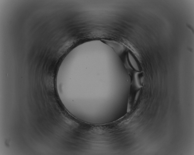 X0000093130489200710171310