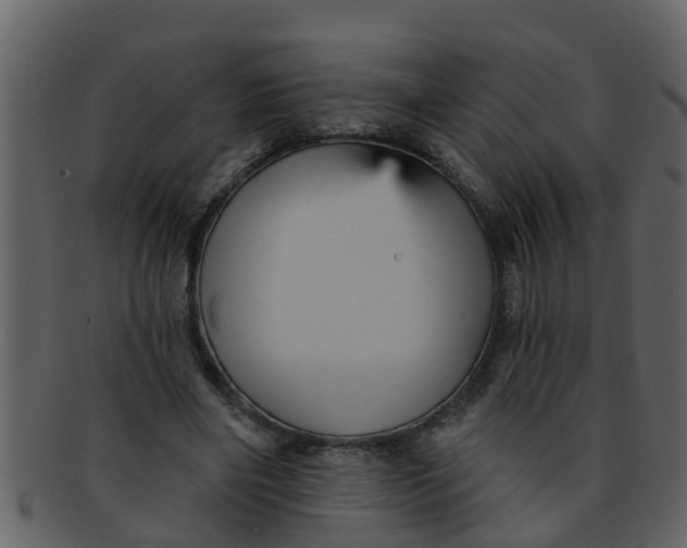 X0000093130490200710171310