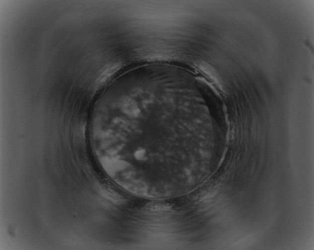 X0000093130491200710171310